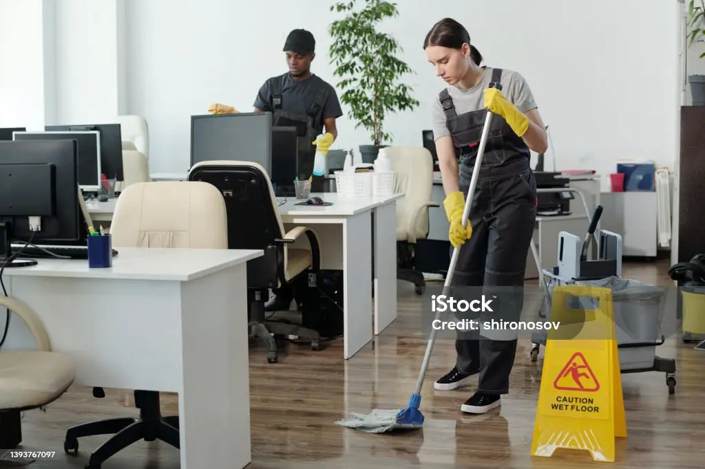 Domestic workers