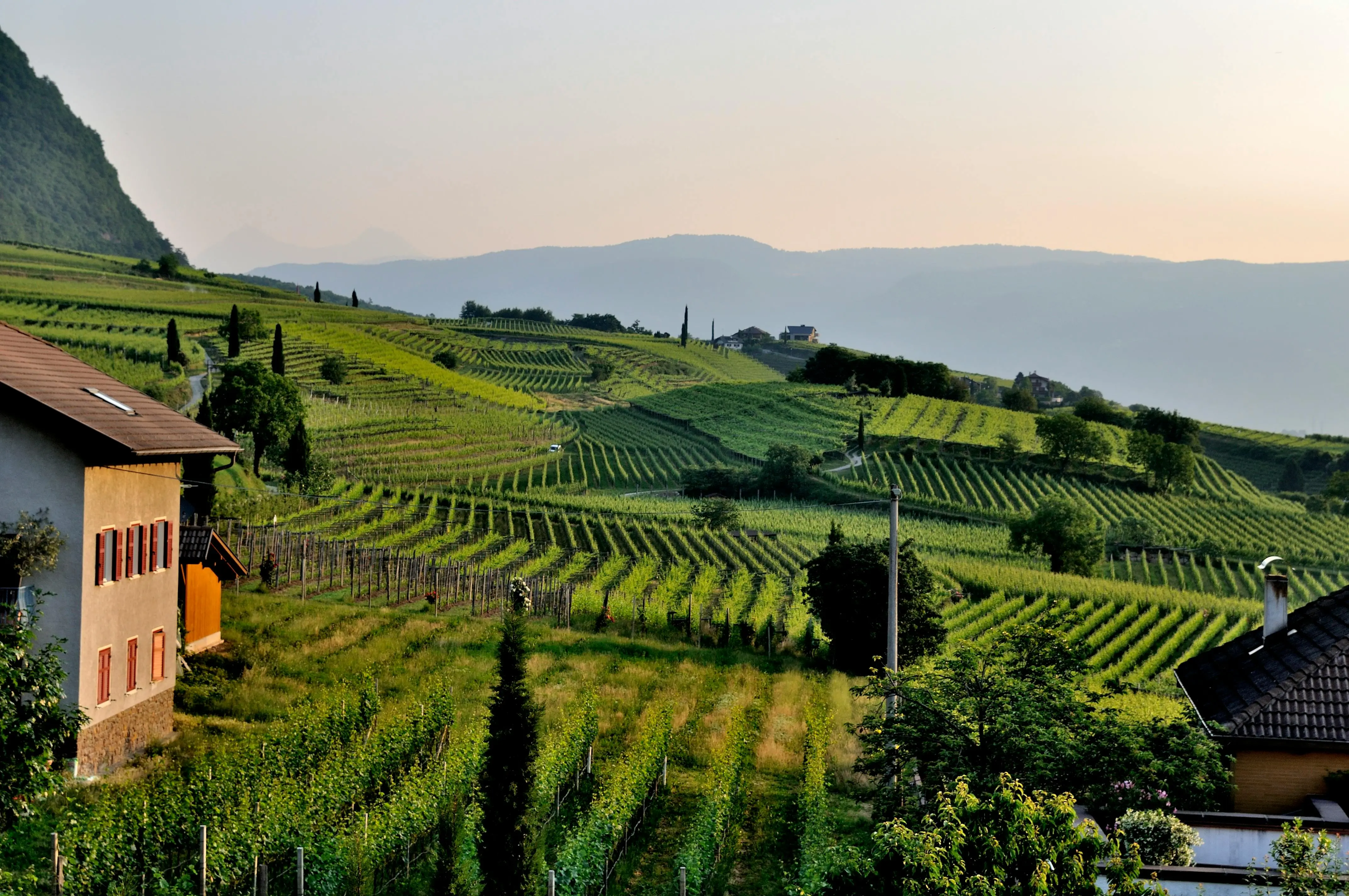 Agriculture
